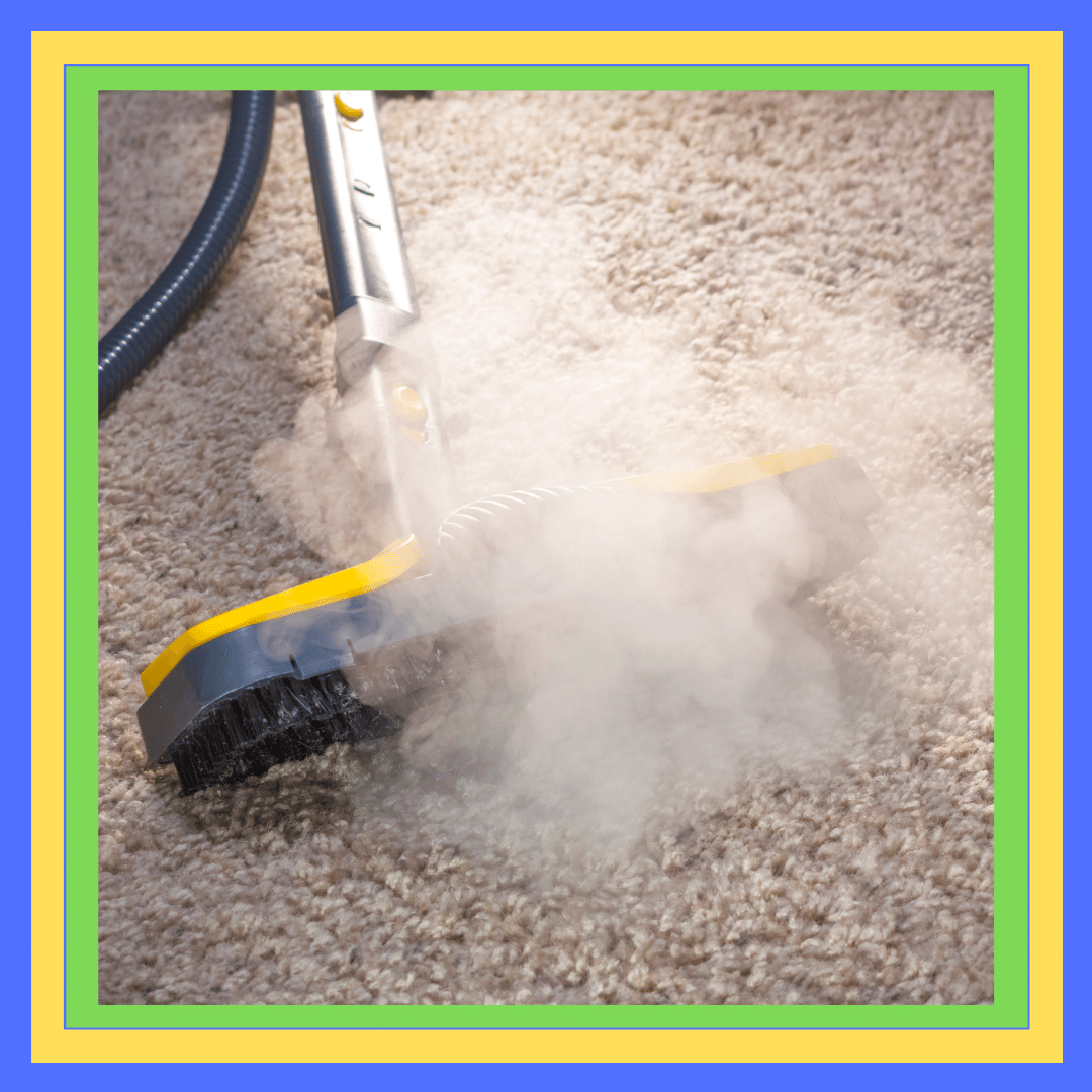 Carpet Steam Cleaning Casey